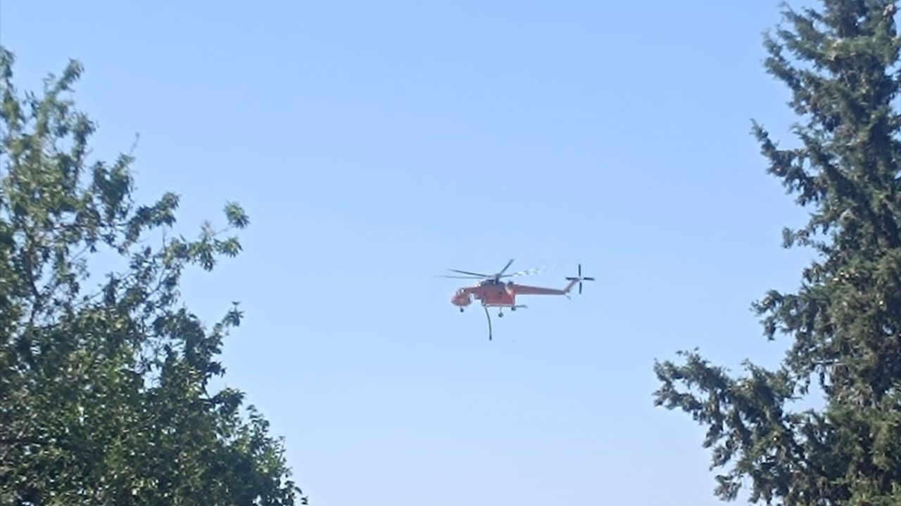 Edirne'de Orman Yangınına Hızla Müdahale