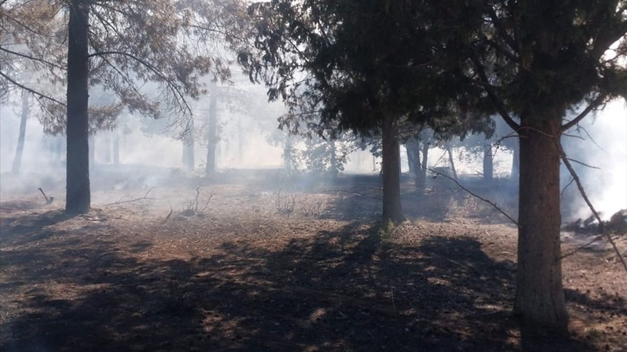 Edirne'deki Orman Yangını Kontrol Altına Alındı
