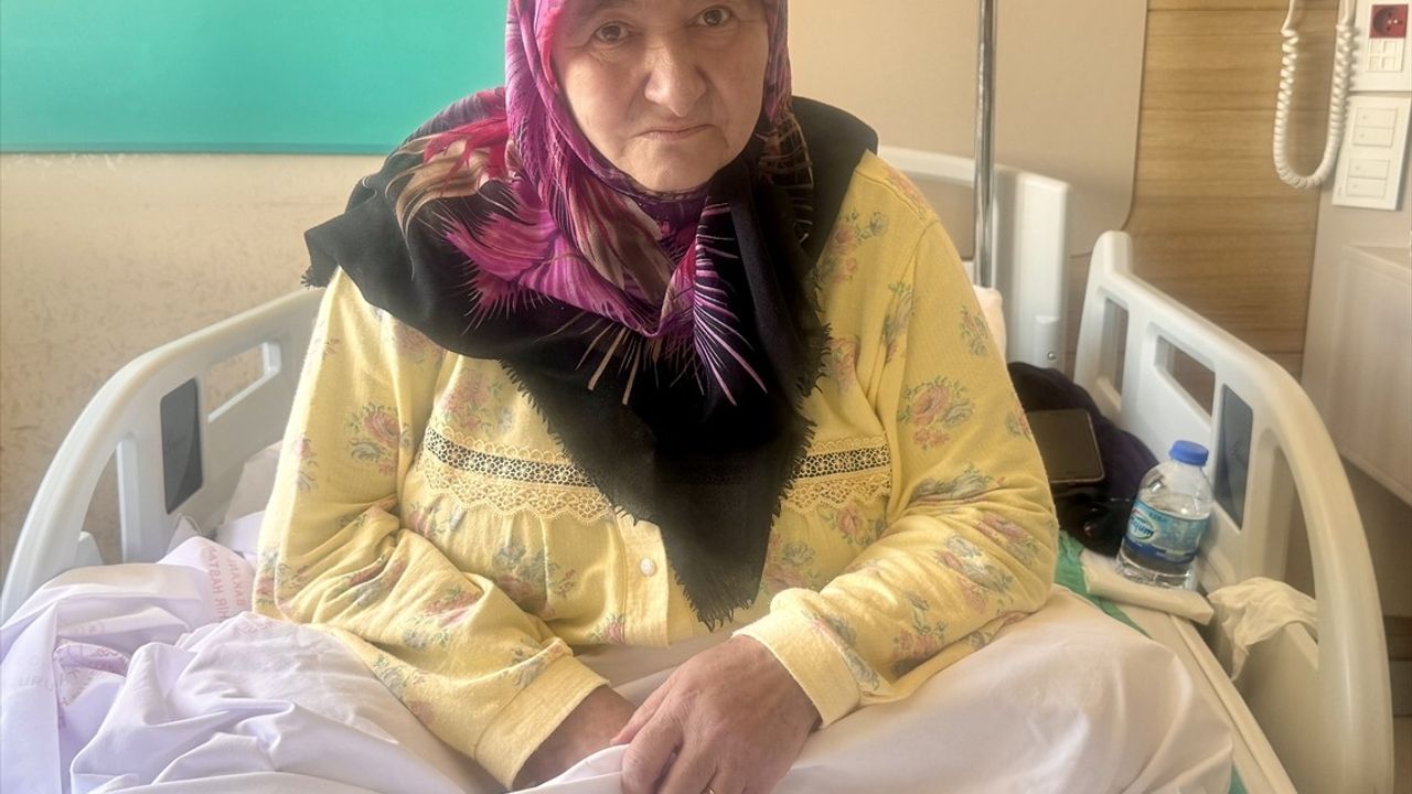 Erzurum'da Doğal Çözüm Arayışı Yanıkla Sonuçlandı