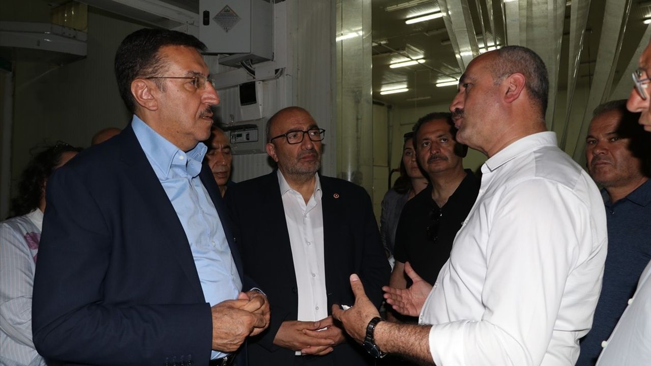 Eskişehir'de Zirai Don Hasarları Araştırıldı