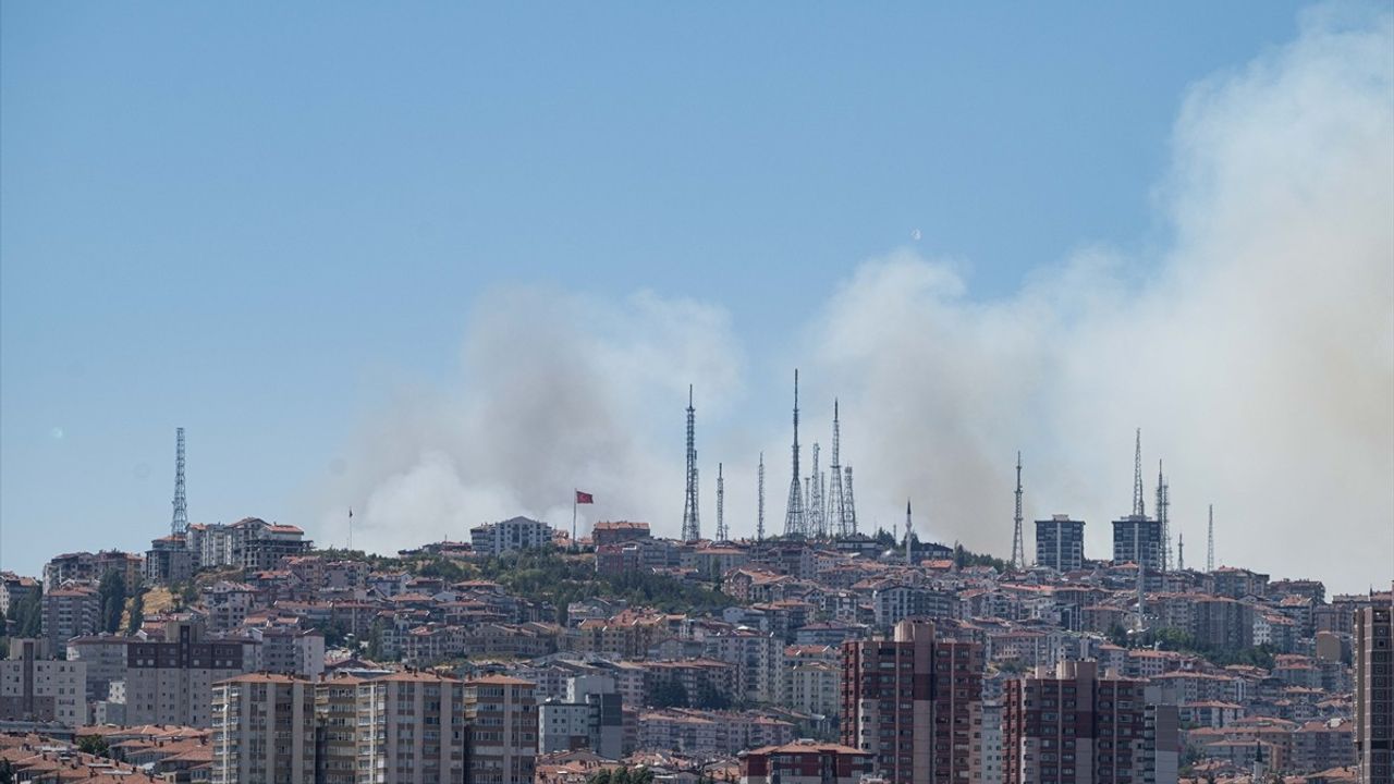 Eymir Gölü Civarı Ormanlık Alanda Yangın Çıktı