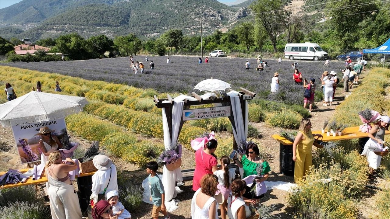 Fethiye'de Lavanta Hasadı Renkli Görüntülere Ev Sahipliği Yaptı