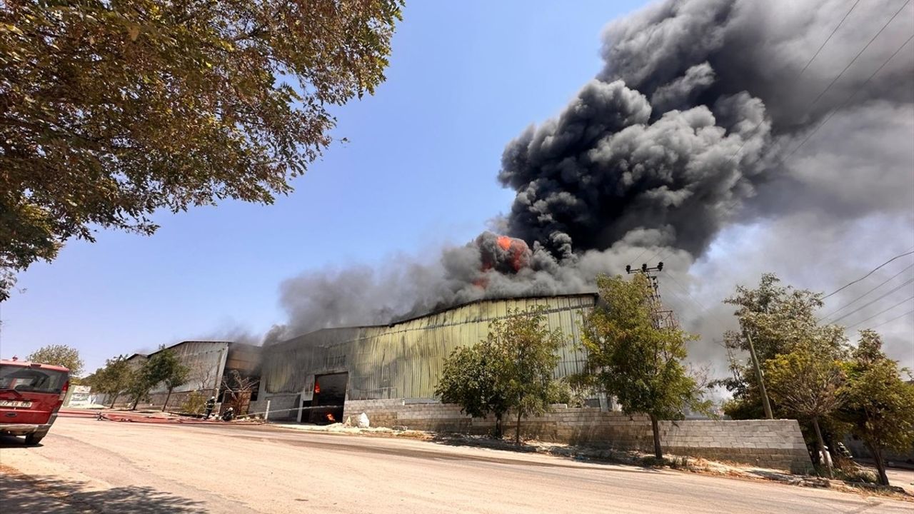 Gaziantep'te Halı Fabrikasında Yangın Çıktı