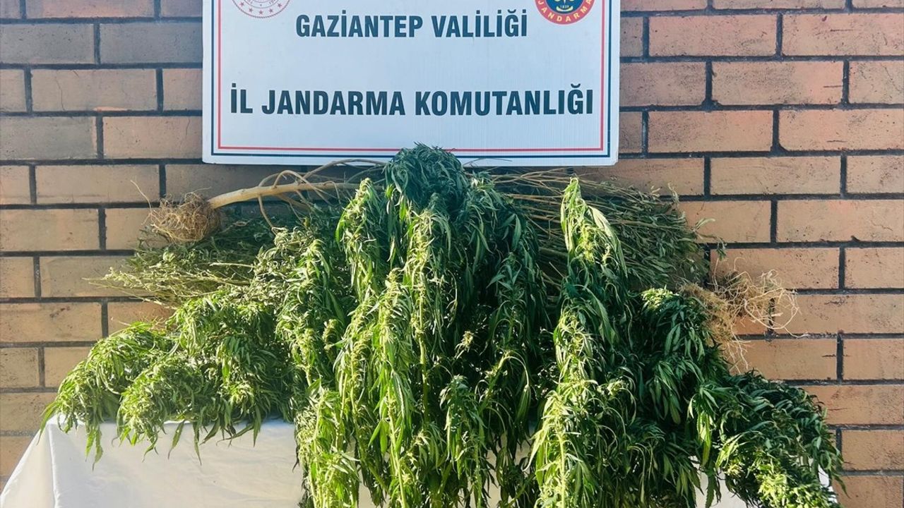 Gaziantep'te Uyuşturucu Operasyonu: Bir Kişi Tutuklandı