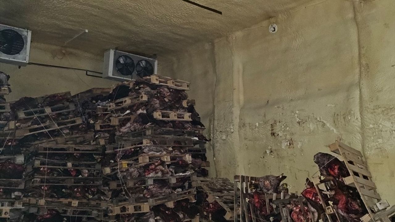 Gemlik'te Ruhsatsız Et Deposu Mühürlendi