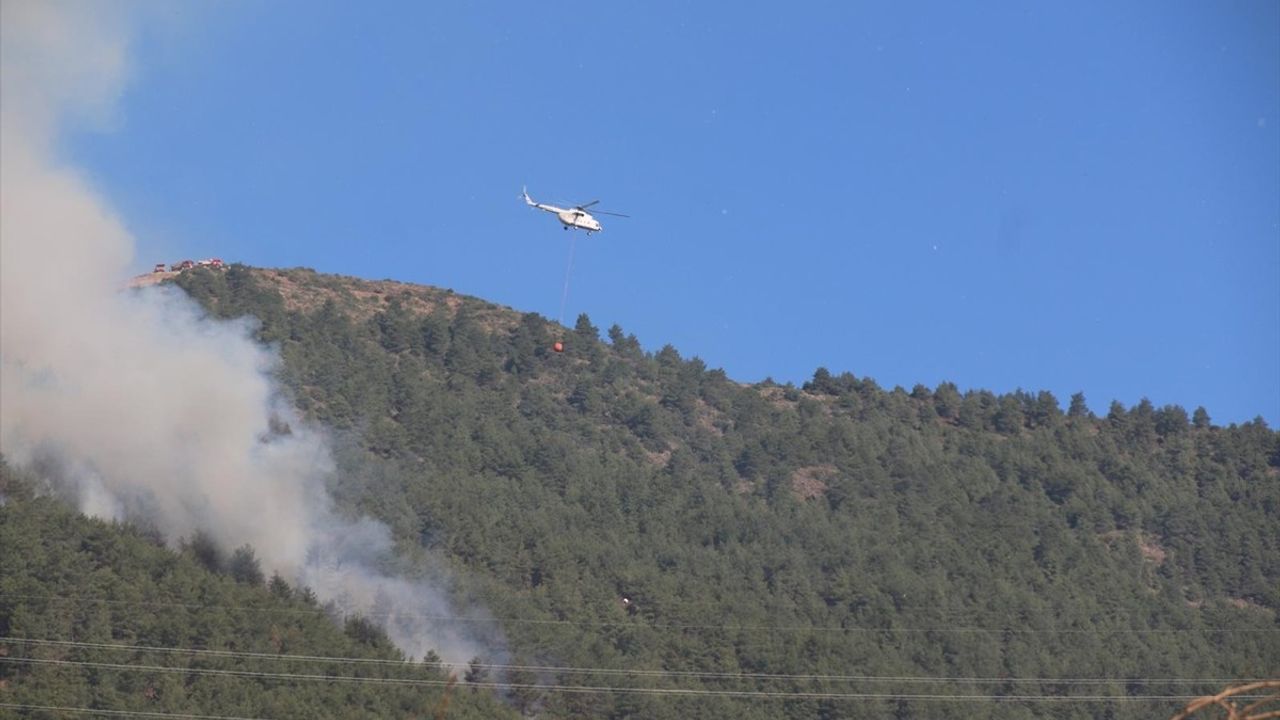 Hatay'da Orman Yangınına Müdahale Devam Ediyor
