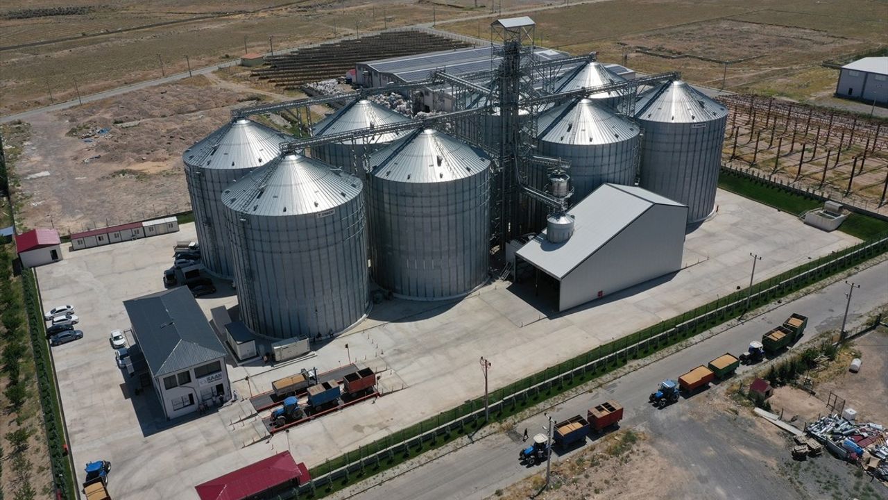 Iğdır'da Hububat Üretimi Güçleniyor
