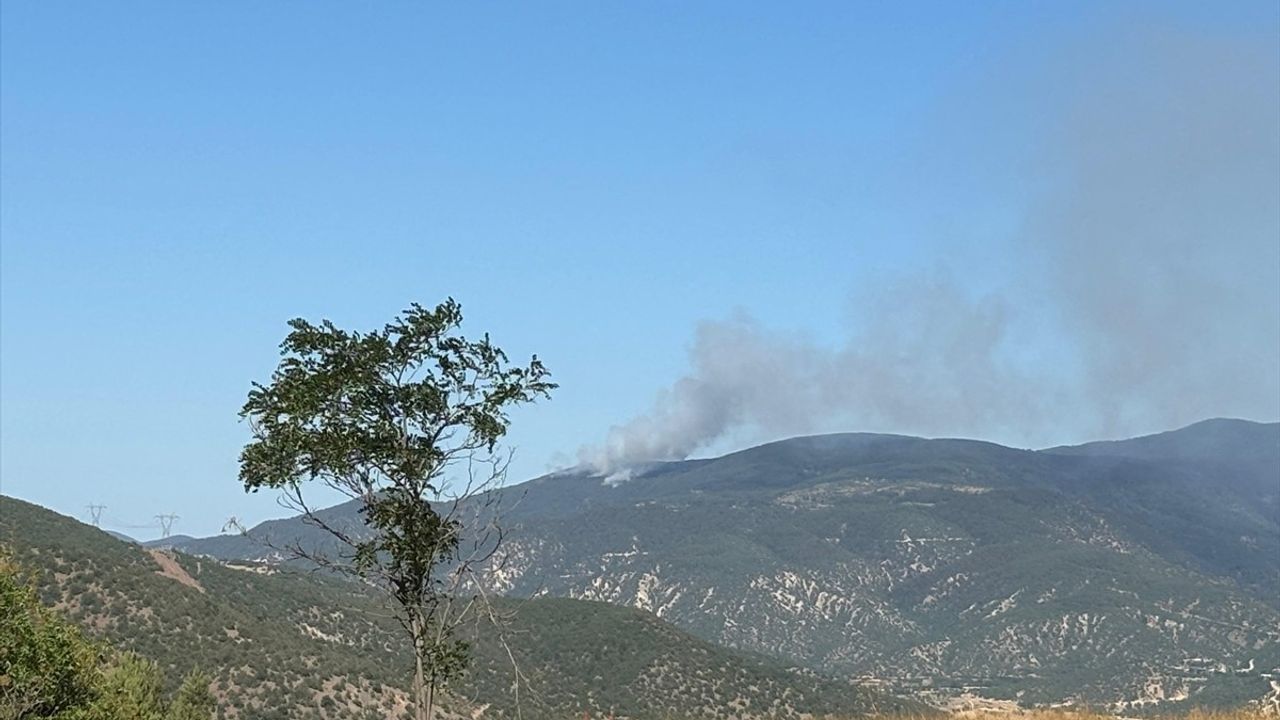 Ilgaz'da Orman Yangınına Müdahale Devam Ediyor