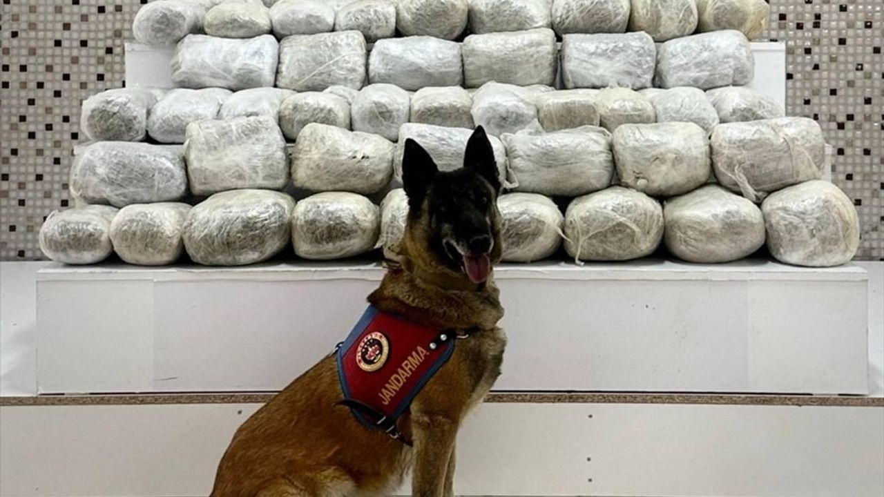 İran'dan Katır ile Getirilen 97 Kilogram Sentetik Uyuşturucu Ele Geçirildi