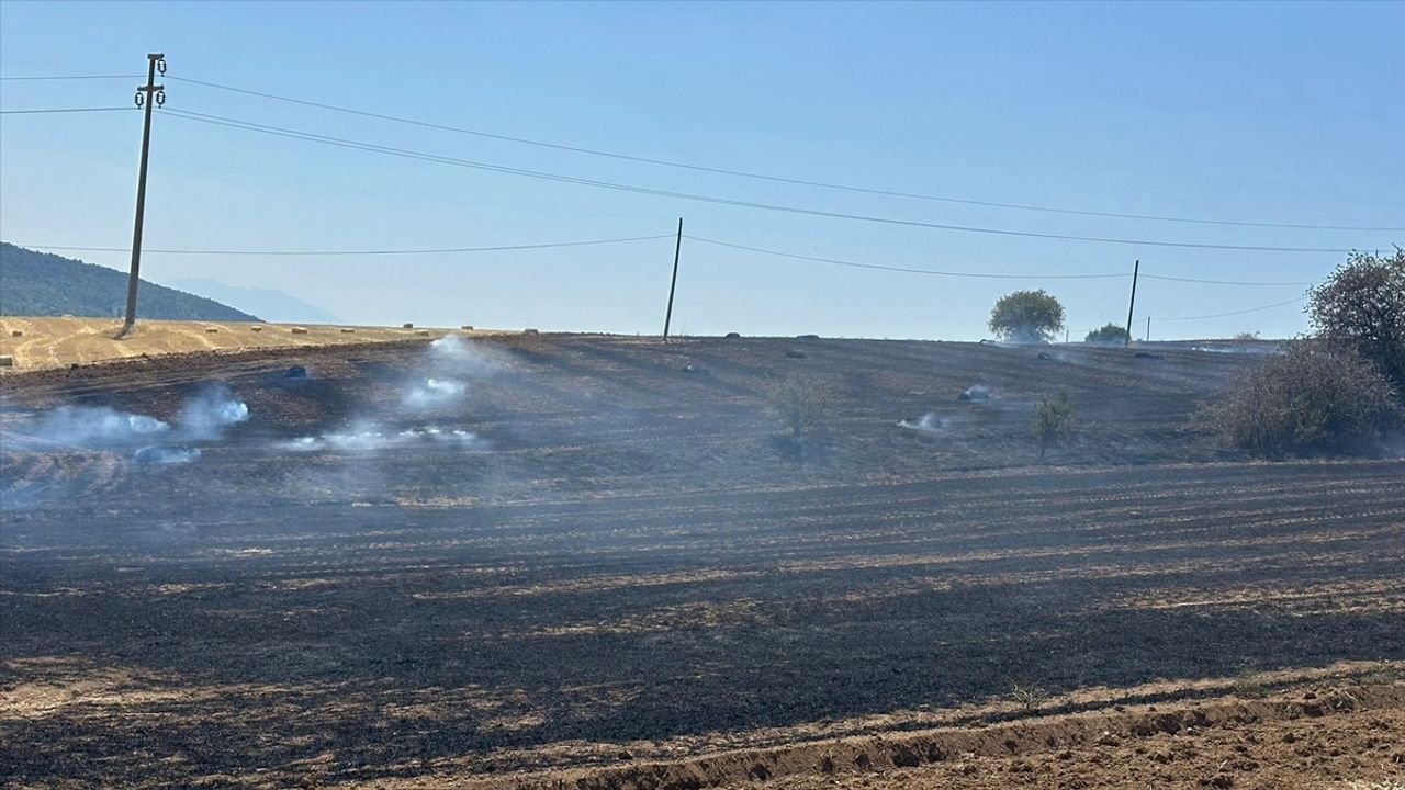 Isparta'da Ekin Tarlasında Yangın Kontrol Altına Alındı