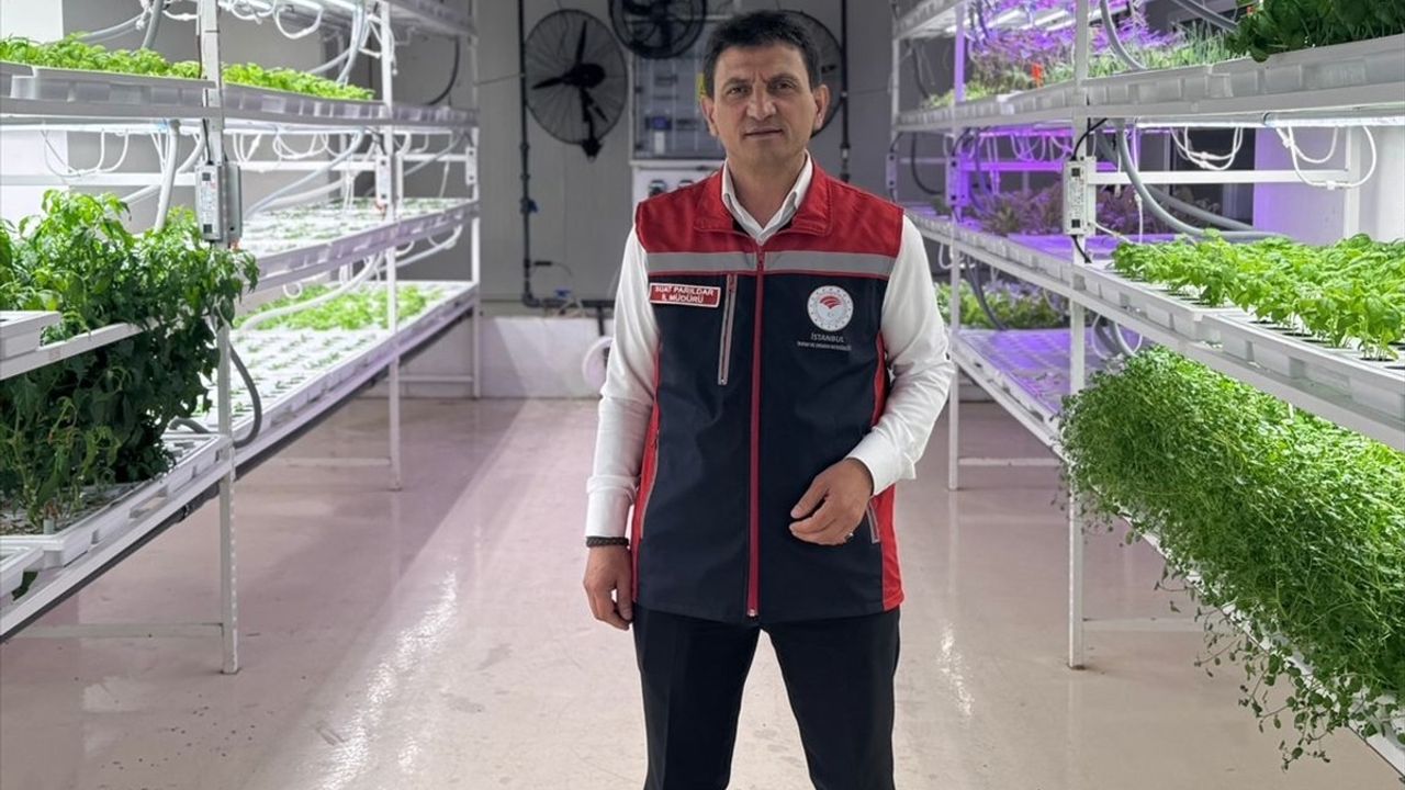 İstanbul'dan Yerli Biber Fidesi Üretimi: Kapalı Dikey Tarım Uygulama Merkezi