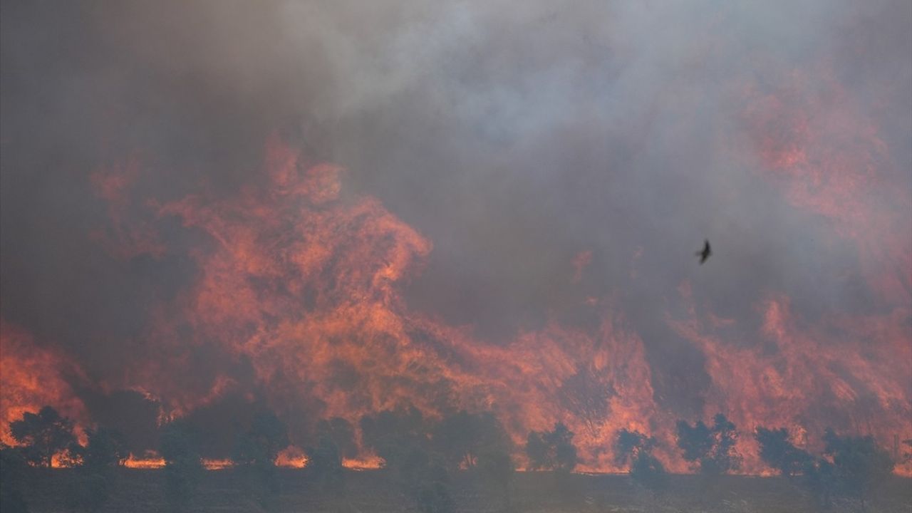 İzmir'de Yangın Söndürme Çalışmaları Devam Ediyor