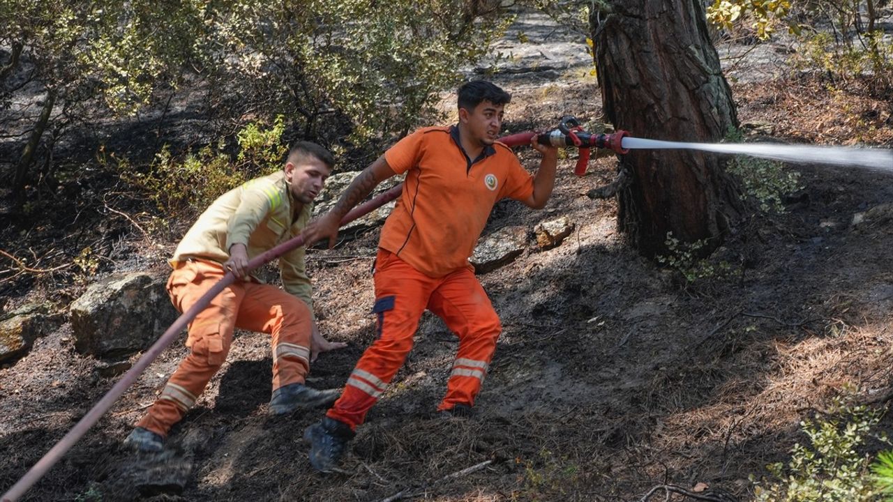 İzmir'deki Orman Yangınları İçin Seferberlik