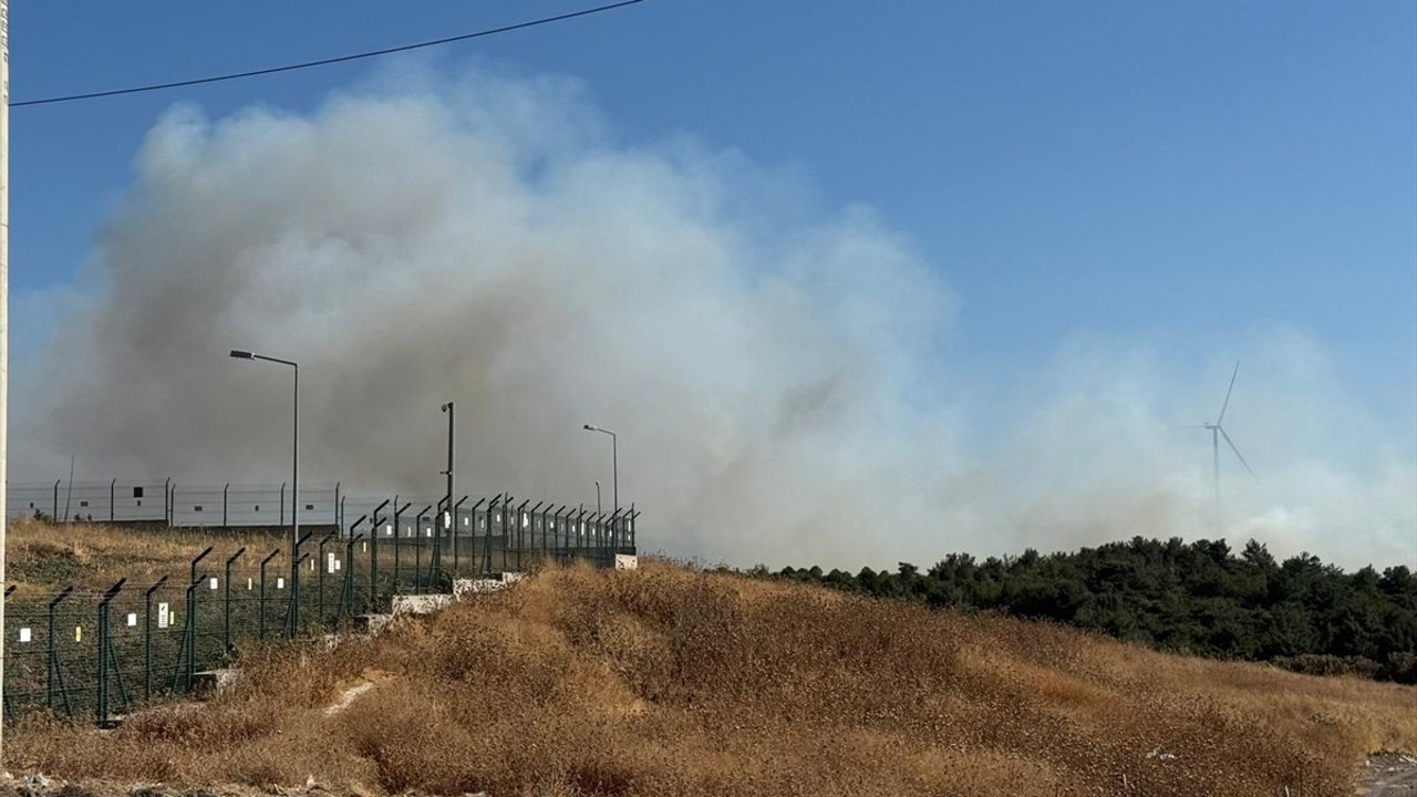 İzmir Urla'da Orman Yangınına Müdahale Devam Ediyor