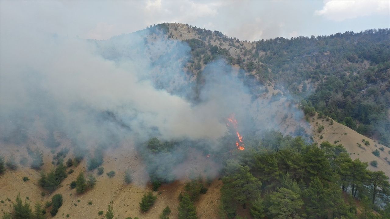 Kahramanmaraş Orman Yangınına Hava ve Karadan Müdahale Devam Ediyor