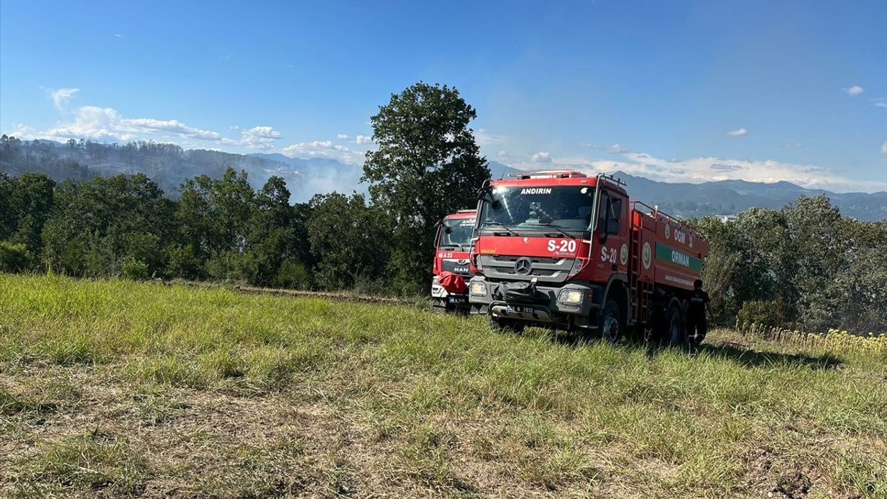 Kahramanmaraş'taki Orman Yangını Kontrol Altında