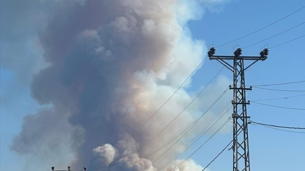 Karabük'te Orman Yangınıyla Mücadele