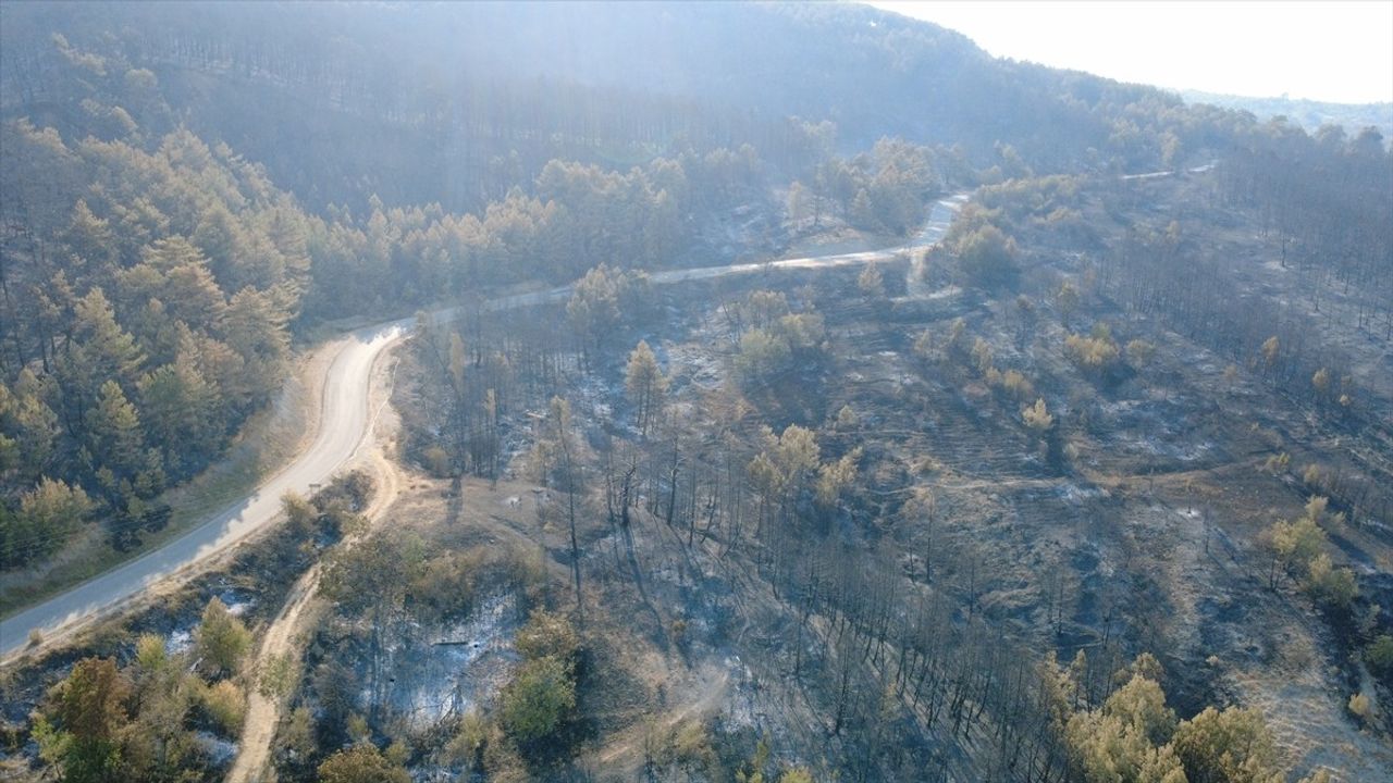 Karabük'te Orman Yangınları Kontrol Altında