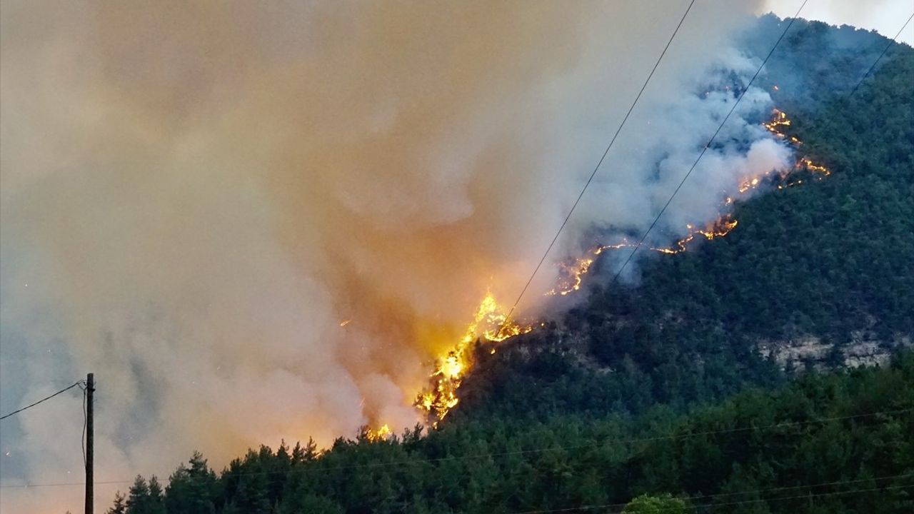 Karabük'te Orman Yangınlarıyla Mücadele Sürüyor