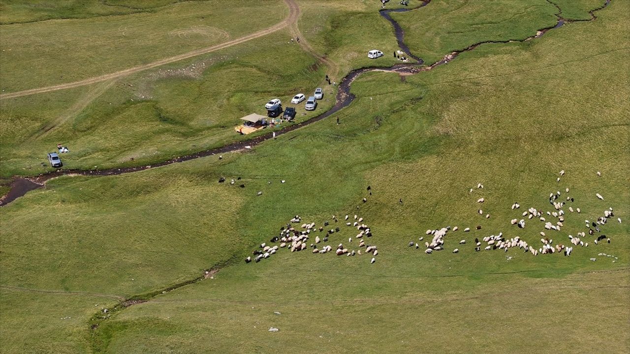 Karadeniz'in Yaylaları Yaz Aylarında Ziyaretçi Akınına Uğruyor