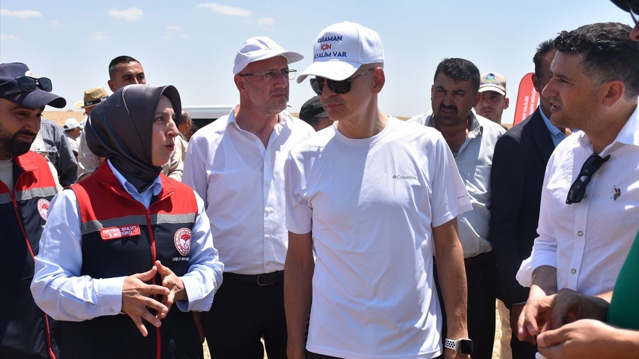 Karaman'da Yerli Tohumla Hasat Edilen Buğdaylar Toplandı