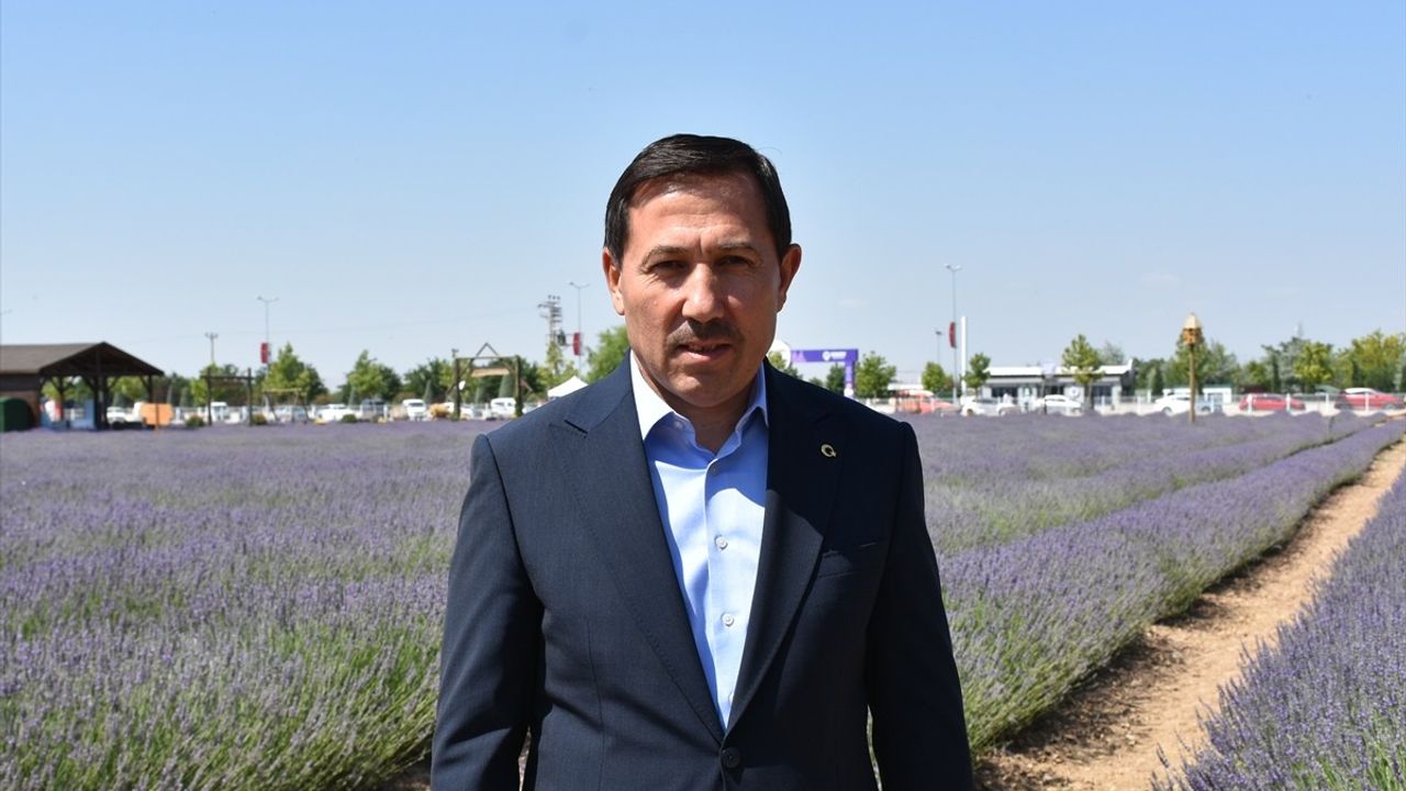 Karatay Lavanta Bahçesi'nde Yeni Sezon Başladı