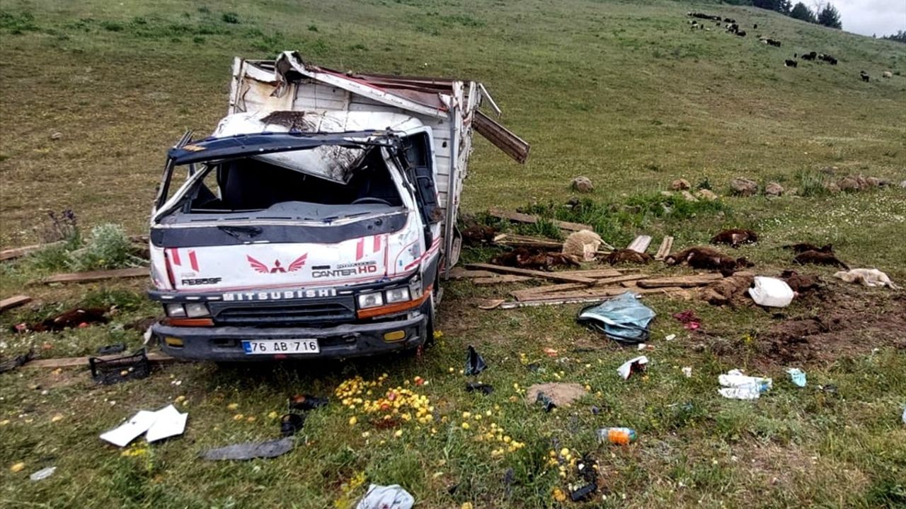 Kars'ta Kamyonet Devrildi: İki Yaralı ve Telef Olan Hayvanlar