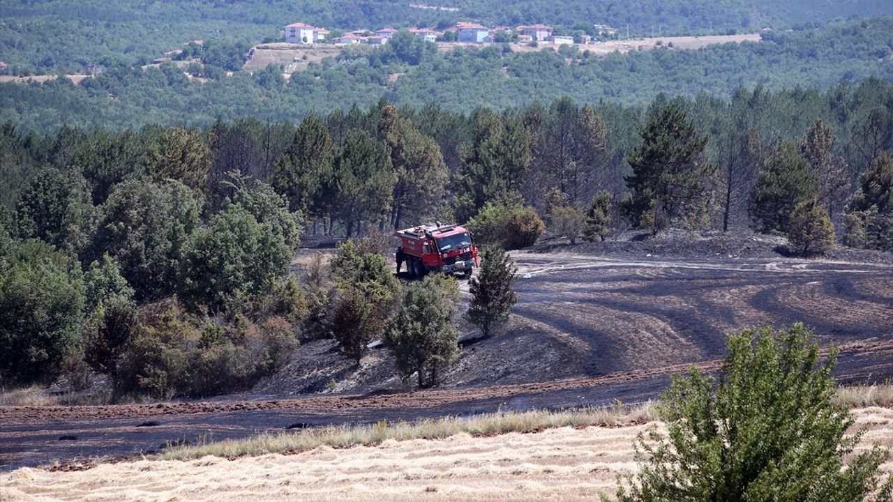 Kastamonu'da Tarım Arazisindeki Yangın Ormana Sıçradı