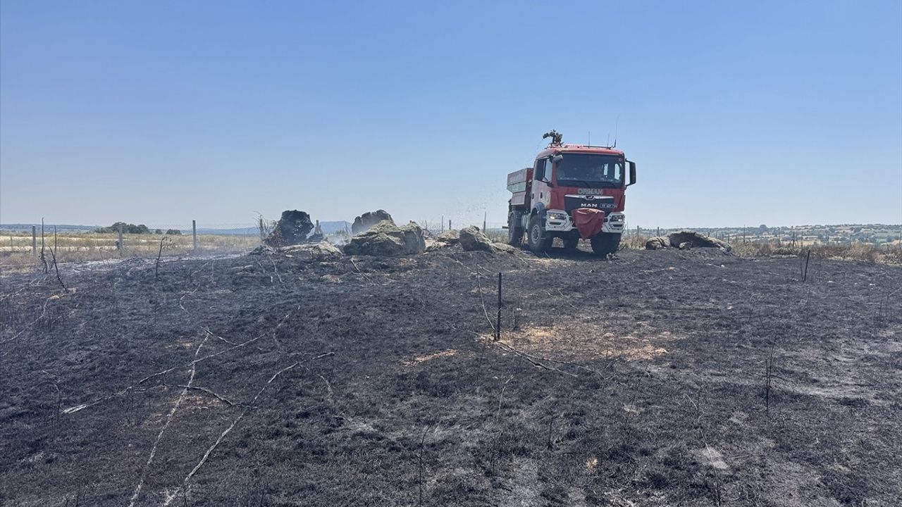 Kırklareli'nde Ceviz Bahçesi Yangını: 20 Dekar Alan Zarar Gördü