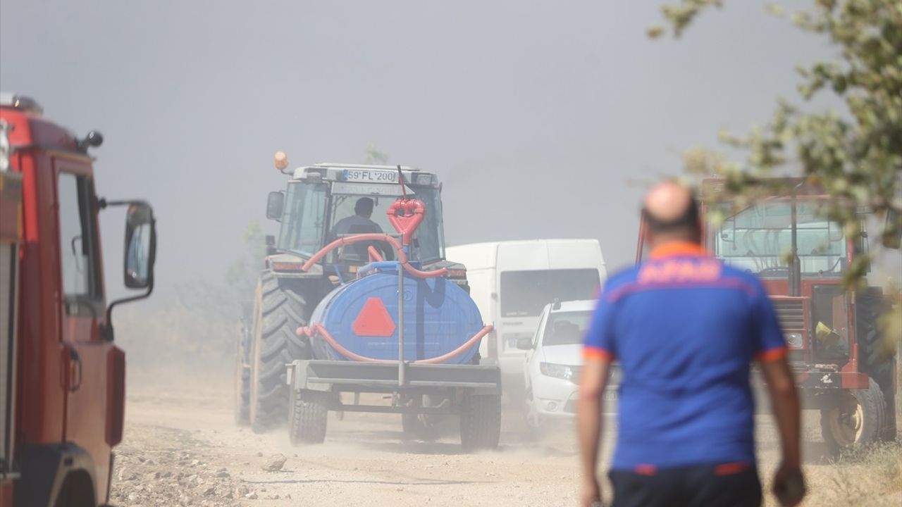 Kırklareli'nde Tarım Arazisinden Ormana Sıçrayan Yangın Kontrol Altına Alındı