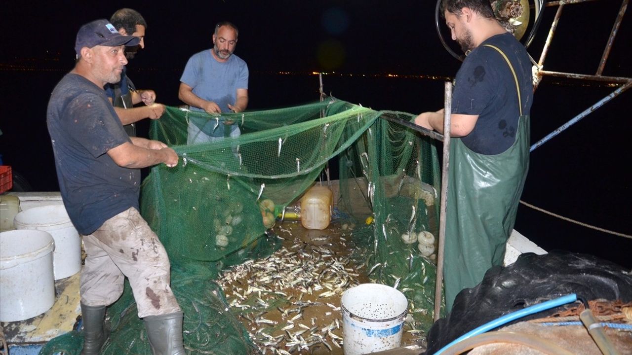 Kocaeli Ereğli Balık Hali'nde Mezat Hareketliliği Devam Ediyor