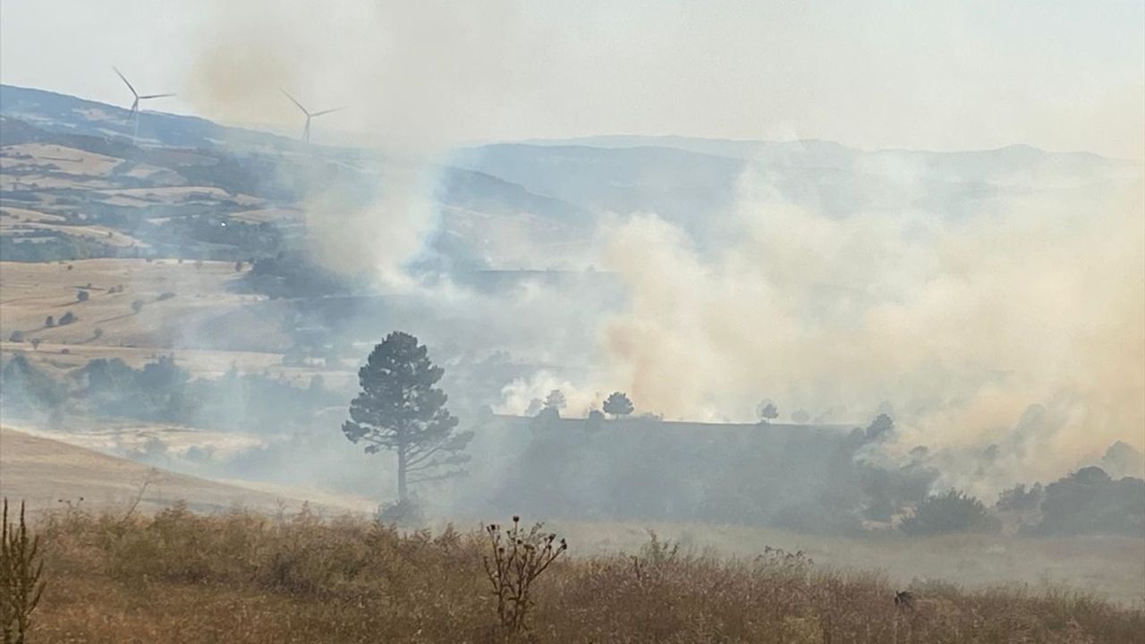 Kütahya'da Orman Yangınına Havadan ve Karadan Müdahale