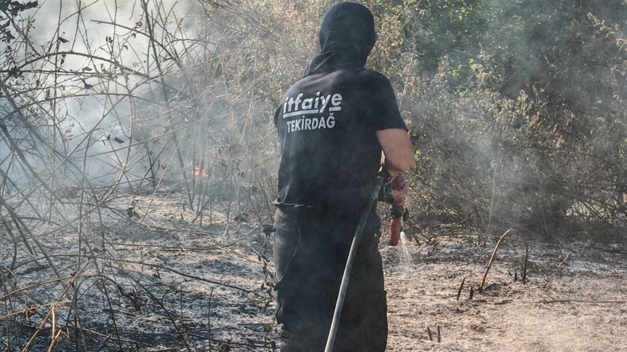 Malkara'da Anız Yangını: 60 Dekar Alan Ziyan Oldu