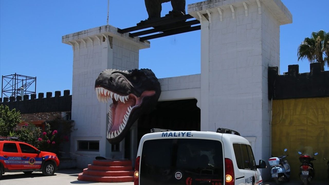 Manavgat'ta Aslan Kaçışı: Denetim ve Gözaltı Süreci Başlatıldı