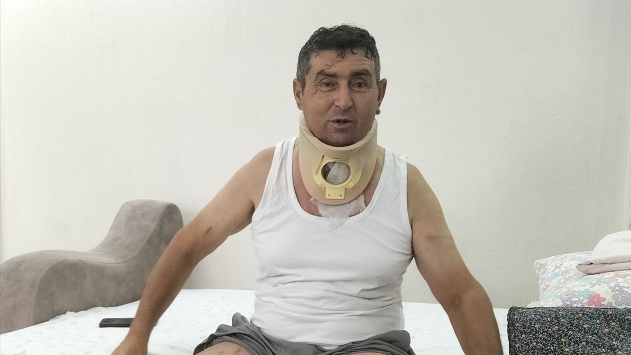 Manavgat'ta Aslan Saldırısı: Çiftçi Süleyman Kır'ın Duyguları