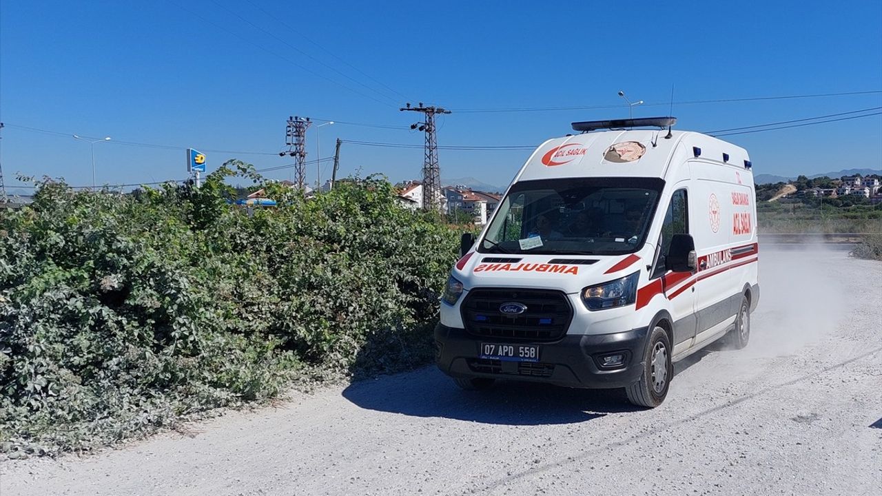 Manavgat'ta Kaçan Aslanın Yaraladığı Kişi Hastaneye Kaldırıldı