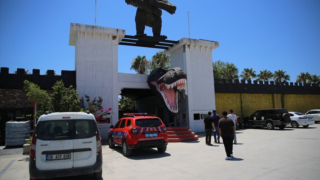 Manavgat'ta Yaralı Aslanın Kaçtığı Hayvan Parkında Denetim Yapıldı