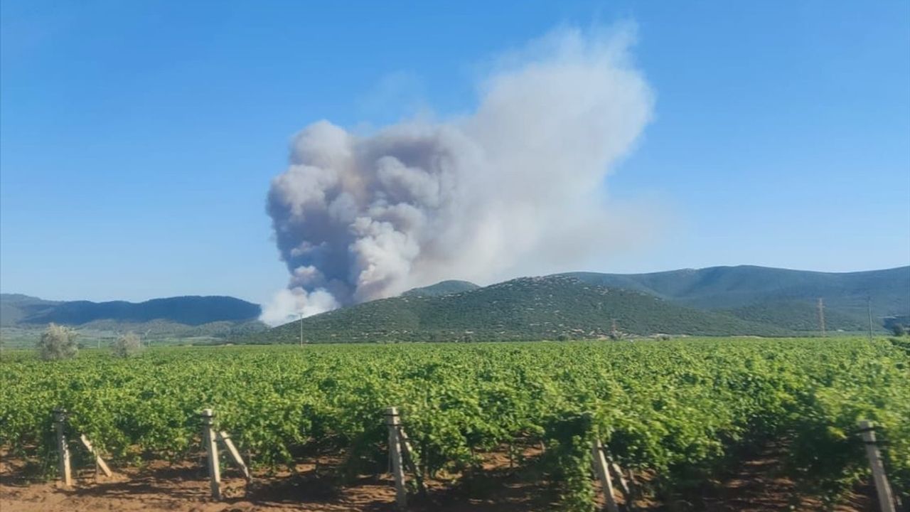 Manisa'da Orman Yangını: Hava ve Karadan Müdahale Devam Ediyor
