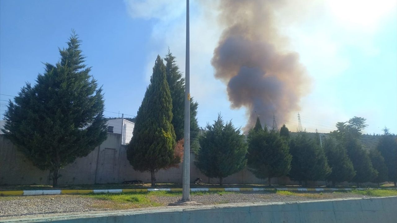 Manisa'da Yangın Alarmı: Havadan ve Karadan Müdahale Devam Ediyor