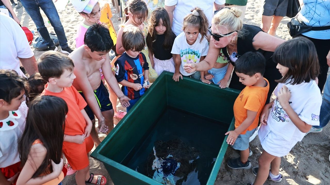Mersin'de Uydu Takipli Yeşil Deniz Kaplumbağası Denize Salındı