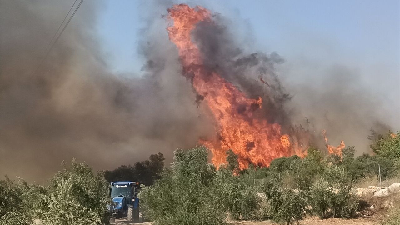 Mersin Silifke'de Orman Yangınına Müdahale Devam Ediyor