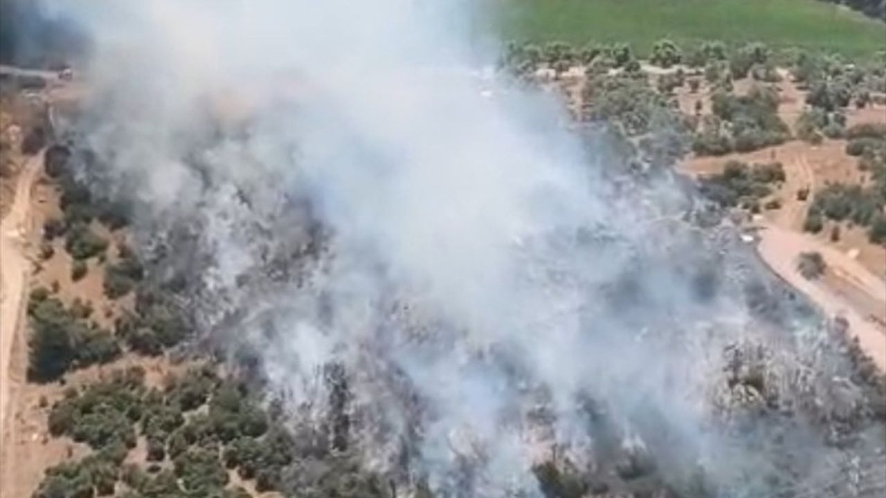 Milas'ta Ziraat Alanında Yangın Kontrol Altına Alındı