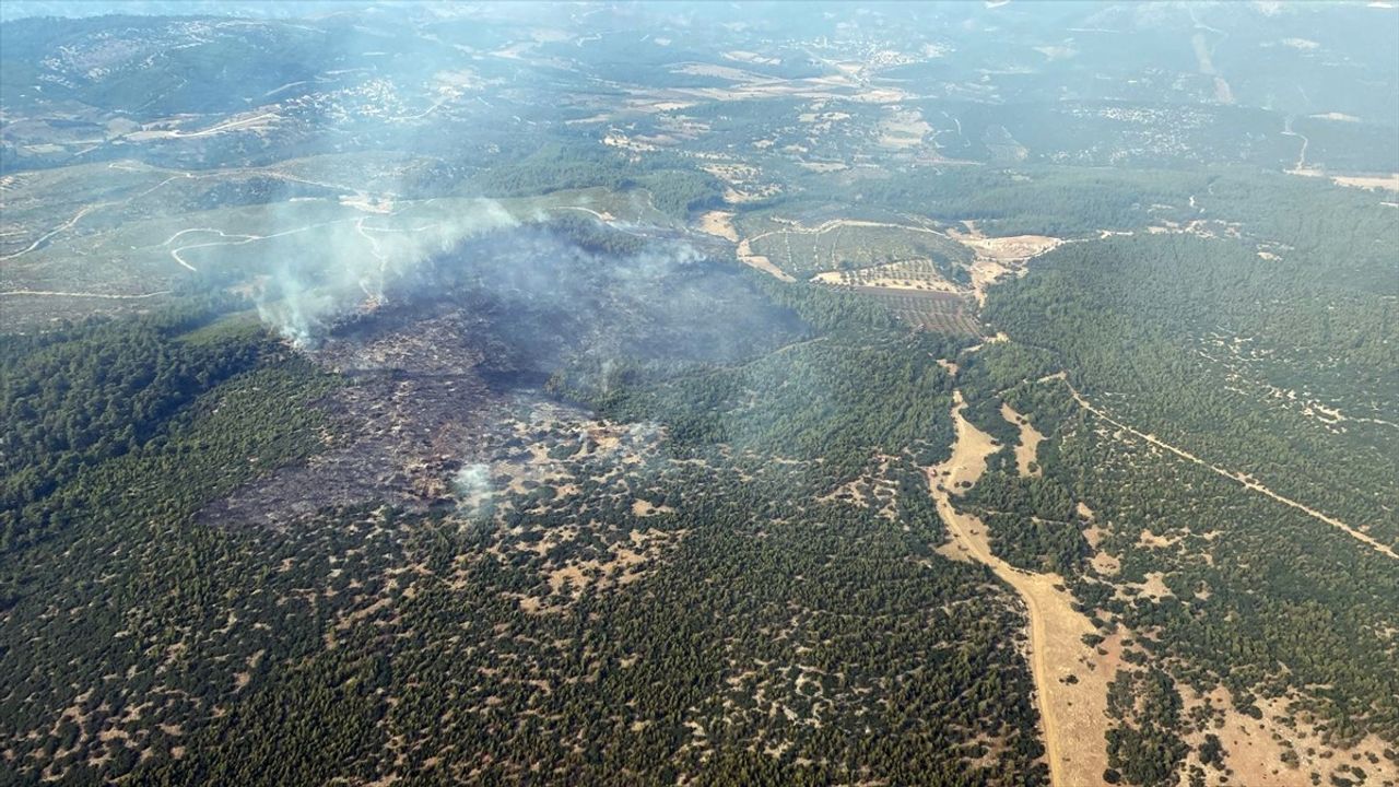 Muğla'da Orman Yangını Kontrol Altına Alındı