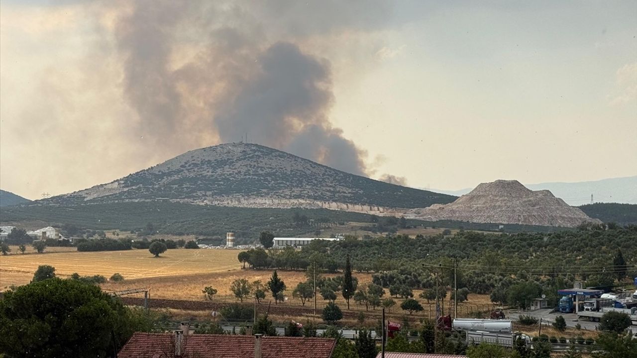 Muğla'da Orman Yangınına Hızlı Müdahale