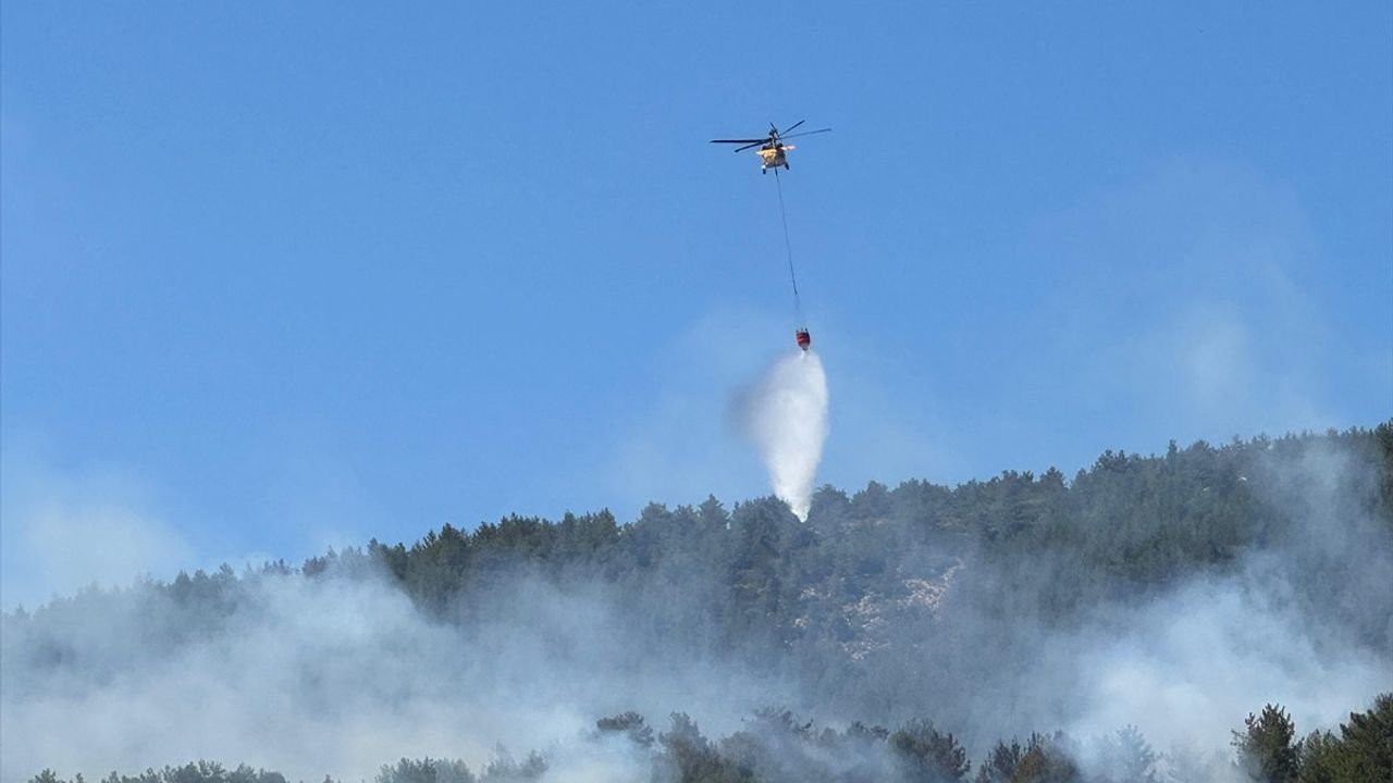 Muğla'daki Orman Yangınına Hızla Müdahale Ediliyor