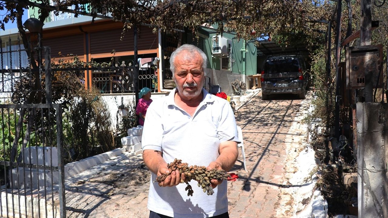 Rüzgarın Değişimi Yaşlı Çifti Yangından Kurtardı