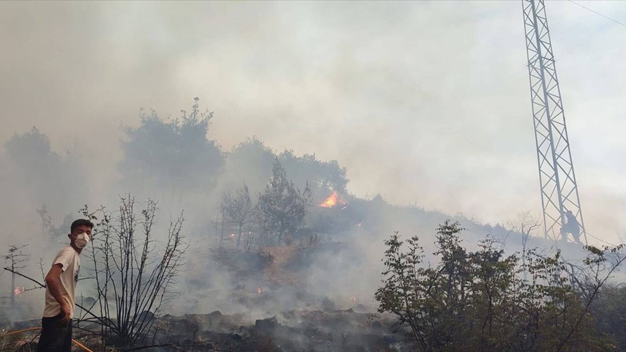 Sakarya-Bilecik Orman Yangını 3. Gününde Kontrol Altında