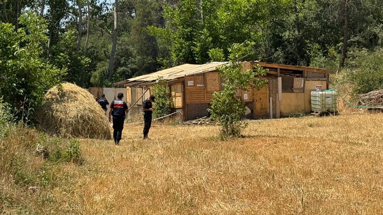 Sakarya'da Kaybolan Şahsın Ölüsü Bulundu