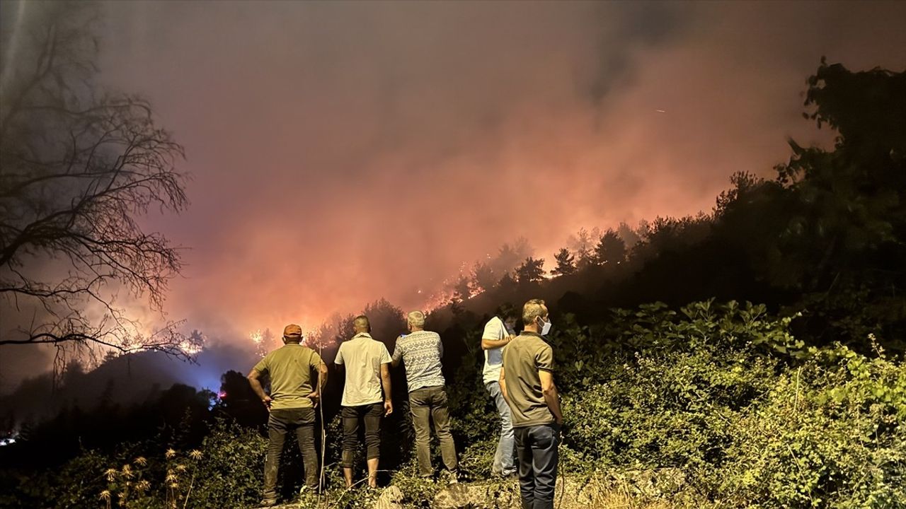 Sakarya'da Orman Yangını: İki Mahalle Tahliye Edildi