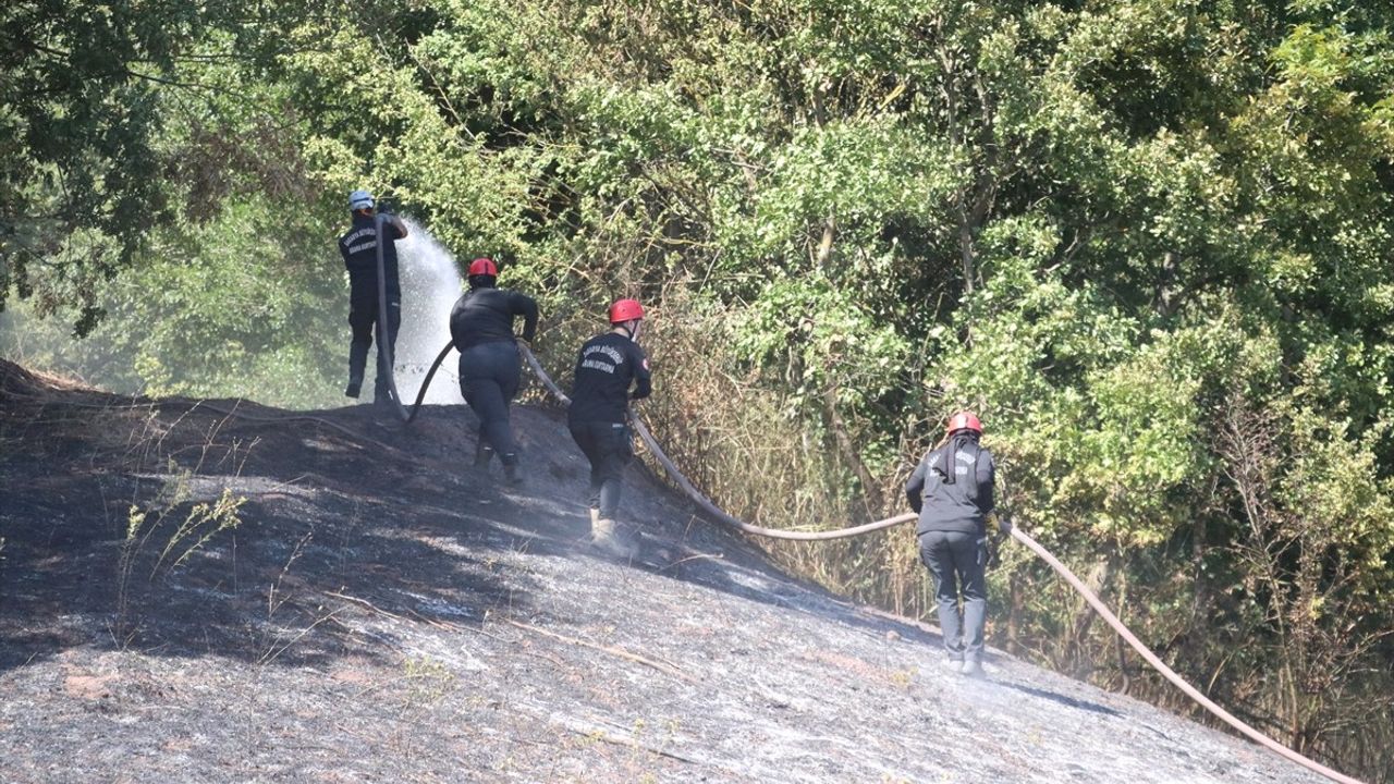 Sakarya'da Orman Yangını Kontrol Altına Alındı